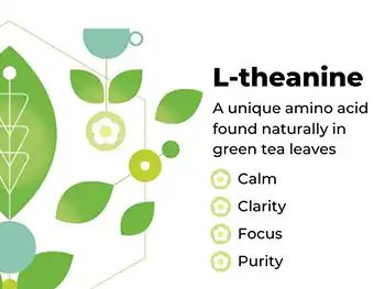 Why Choose Green Tea Extract L Theanine for Stress Relief?